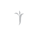 Աշոտ Աշոտյան - լոգոտիպ