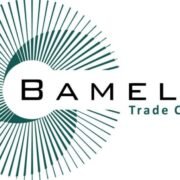 Bamelex.am - լոգոտիպ
