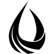 BASIS ՍՊԸ - լոգոտիպ
