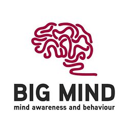 bigmind.am - լոգոտիպ