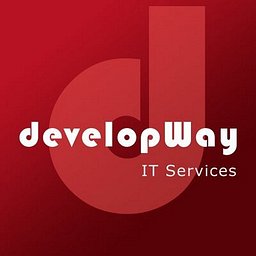 Логотип: DevelopWay CJSC