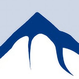 DWV - լոգոտիպ