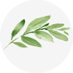 Eco.am - լոգոտիպ