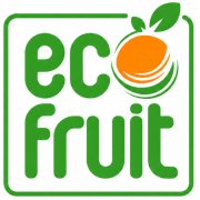 Հիմնական - լոգոտիպ