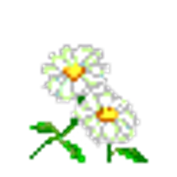 Flowers delivery Flora.am logo