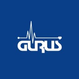 Gurus - լոգոտիպ
