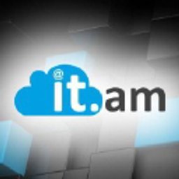 IT Professional Services logo