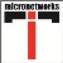 Логотип: IT-Micronetworks ООО