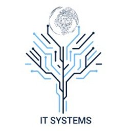 Логотип: IT Systems