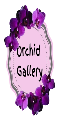 Orchid Gallery - լոգոտիպ