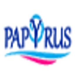 Soft Papyrus Հայաստան - լոգոտիպ
