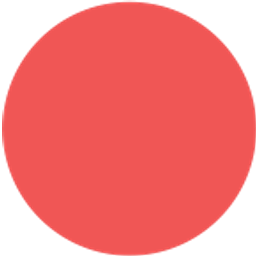 Team Holding logo