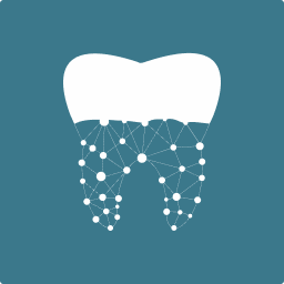 Ultradent: Dentistry according to world standards - լոգոտիպ