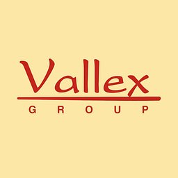 Логотип: Vallex Group
