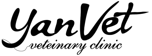 Yanvet - լոգոտիպ