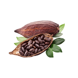 Yerevan Chocolate Company CJSC - լոգոտիպ