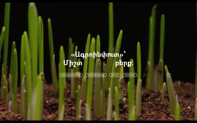 Скриншот сайта agroinput.am