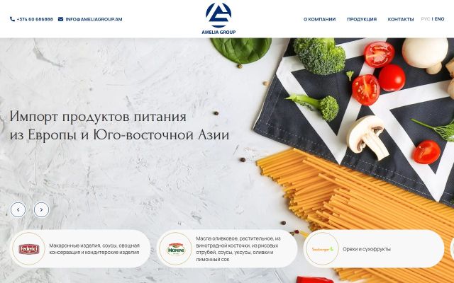 ameliagroup.am - էկրանի պատկեր