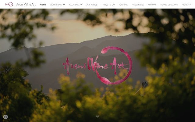 Screenshot of areniwineart.am