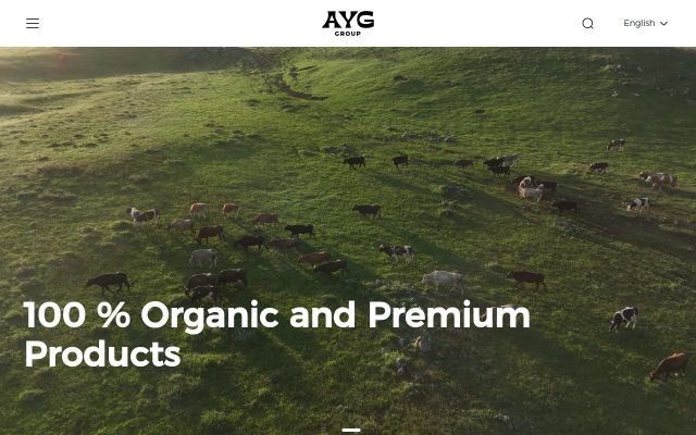 ayggroup.am - էկրանի պատկեր