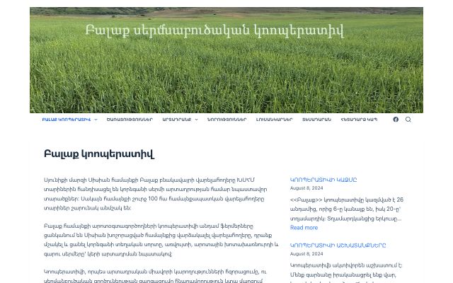 Скриншот сайта balaq.am