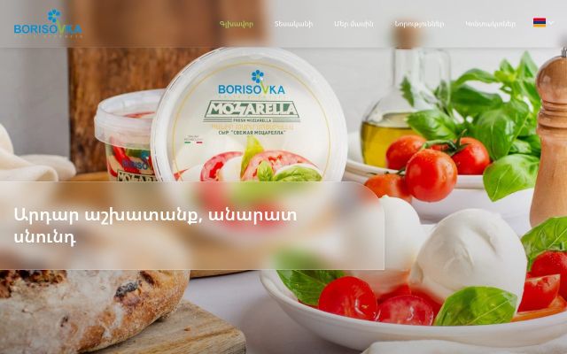 Screenshot of borisovka.am