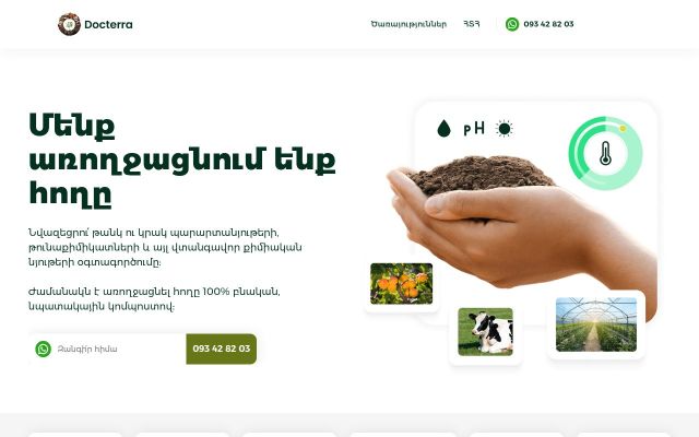 docterra.am - էկրանի պատկեր
