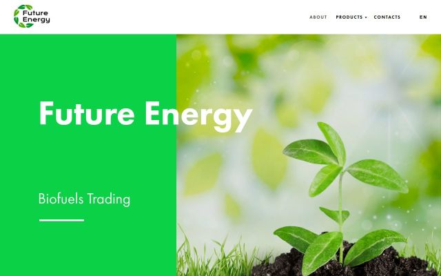 futureenergy.am - էկրանի պատկեր