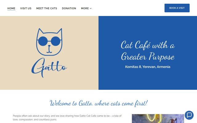 gatto.am - էկրանի պատկեր