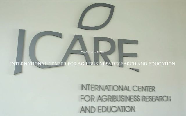 icare.am - էկրանի պատկեր