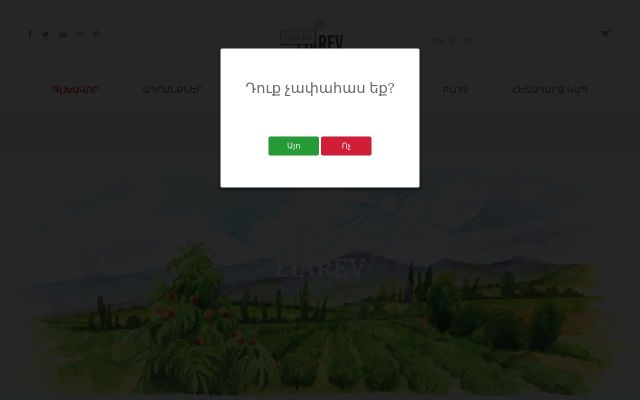 liarev.am - էկրանի պատկեր
