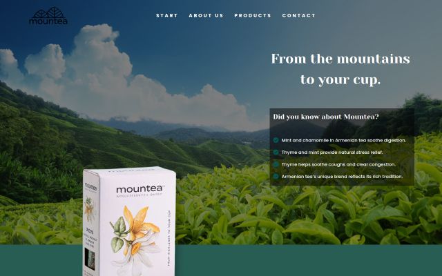 mountea.am - էկրանի պատկեր