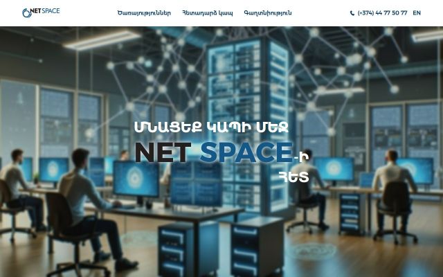 netspace.am - էկրանի պատկեր