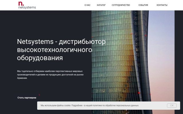 netsystems.am - էկրանի պատկեր