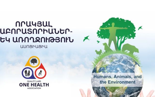 Screenshot of onehealth.am