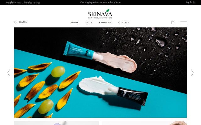 skinava.am - էկրանի պատկեր