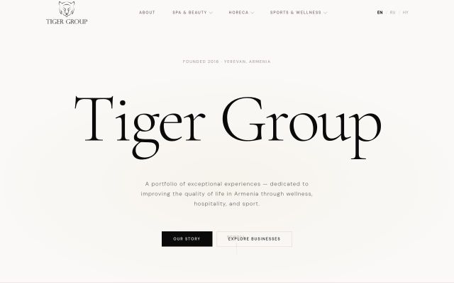 Screenshot of tigergroup.am
