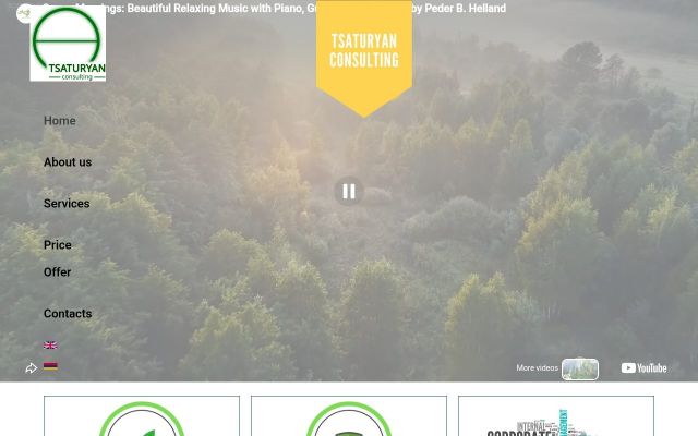 tsaturyanconsulting.am - էկրանի պատկեր