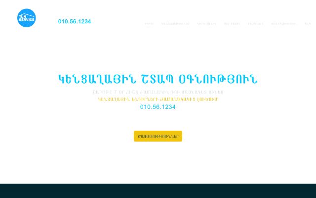 tunservice.am - էկրանի պատկեր