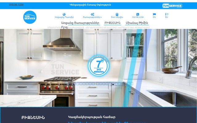 Screenshot of tunservice.com