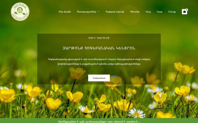Screenshot of zartonqcenter.am